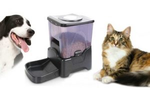 Large Automatic Pet Feeder