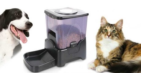 Large Automatic Pet Feeder