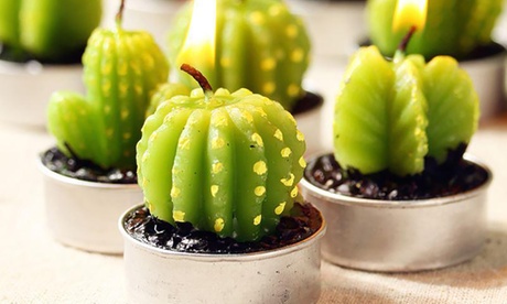 Decorative Cactus Candles