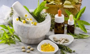Medicinal Herbs Online Course