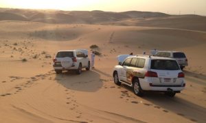 New Year’s Desert Safari