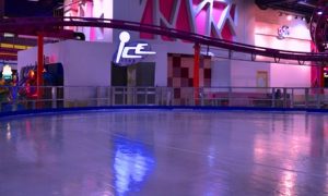 Sparky's Ice Skating