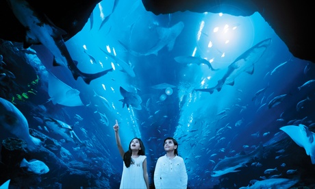 Dubai Aquarium Tickets for Two