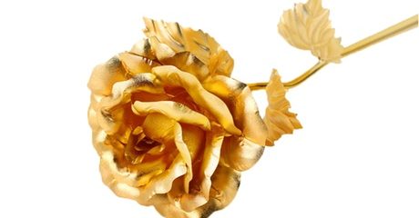 Gold-Plated Rose