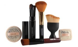 10-Piece Pro Make-Up Brush Kit