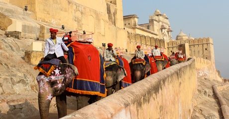 India: 7-Night Golden Triangle Tour with Breakfast