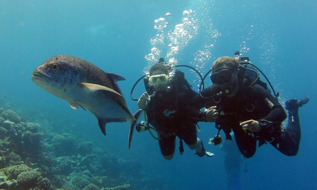 Scuba Diving Experience