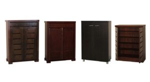 Two-Door Shoe Cabinet