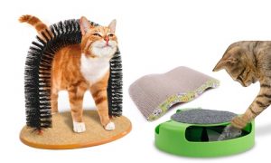Cat-Care Accessories