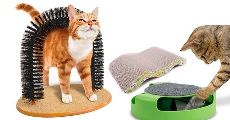 Cat-Care Accessories