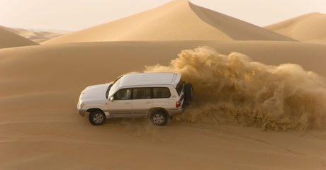 Desert Safari Experience