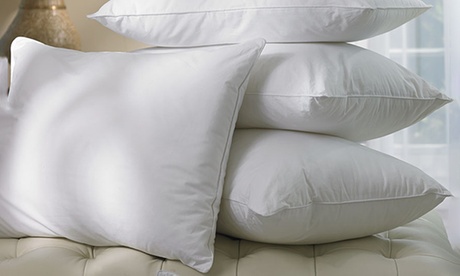 Hollow-Fibre Pillows