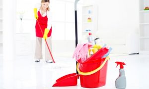 Maid Cleaning or Ironing Service