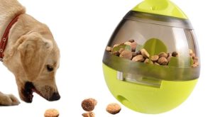 Pet Treat Dispenser