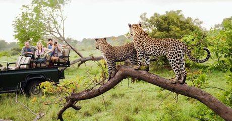 ✈ South Africa: 4-Night Tour with Flights
