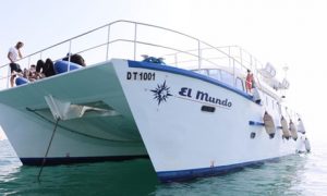 Catamaran Cruise with Buffet: Child (AED 199) or Adult (AED 249)