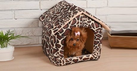 Cushion House Style Pet Bed