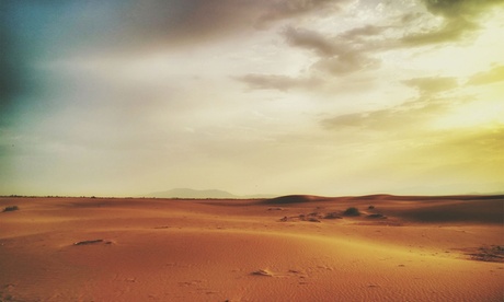 Evening Desert Safari