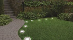 Outdoor Solar Ground LED Lights