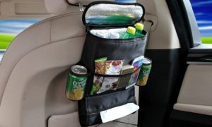 Car Backseat Organiser and Cooler