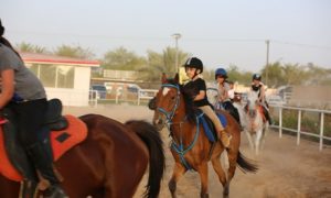 Horse Riding Lesson