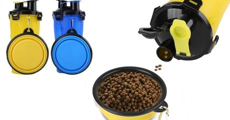 Two-in-One Pet Food Container