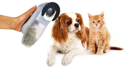 Cordless Hair Vacuum for Pets