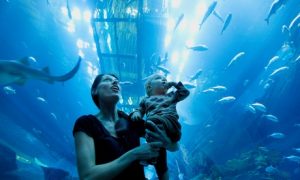 Dubai Aquarium and Global Village
