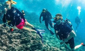 Scuba Diving Packages