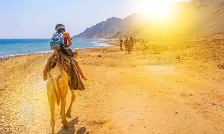 Evening Desert Safari