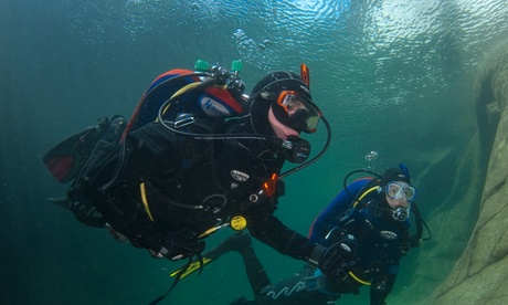 Scuba Diving Course