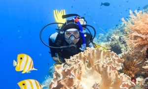 PADI Course with Certification