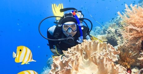 PADI Course with Certification