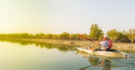Two-Hour Guided Kayak Tour: Child (AED 69) or Adult (AED 99)