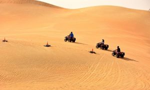 Half-Day Desert Safari with Optional Quad Biking
