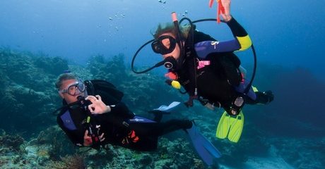 SCUBA Diving Session