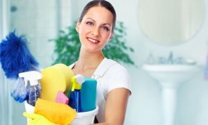 House Cleaning and Ironing