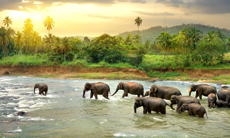 Sri Lanka: 2-Night Break with Tours