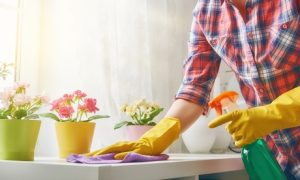 Three-Hour Cleaning Services