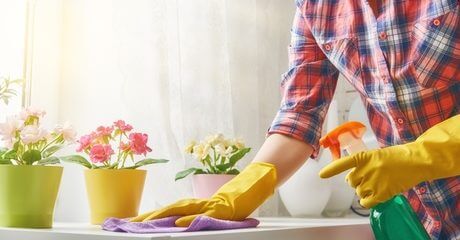 Three-Hour Cleaning Services