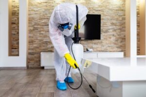 Home Sanitization and Disinfection