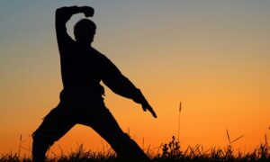 Pilates or Tai Chi Online Course