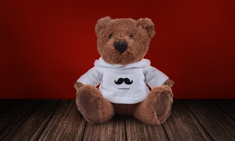 Teddy Bear in Personalised Hoodie