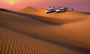 Evening Desert Safari