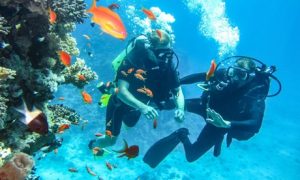 PADI Open Water Diver Course