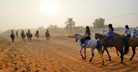 Desert Horse Riding Experience