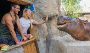 Abu Dhabi: Family Stay with Emirates Zoo Tickets