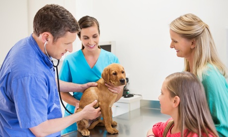 Choice of Pet Check-Up