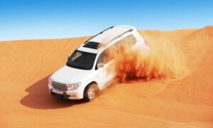 Desert Safari with Pick-Up