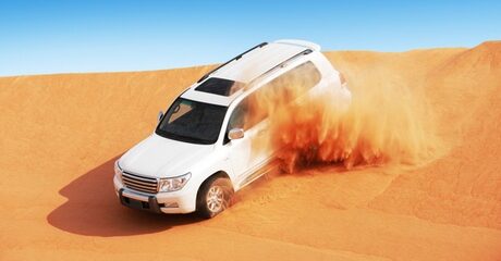 Desert Safari with Pick-Up
